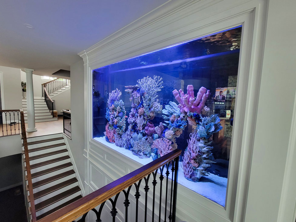 Oceans Landing Giant Aquarium - Aqua Custom Fish Tanks