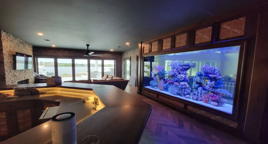 Huge In wall aquarium, Custom designed Aquarium manufacturers
