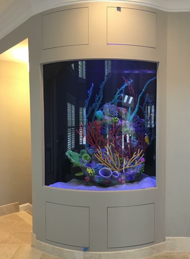Custom Fish Tank by Aqua Creations
