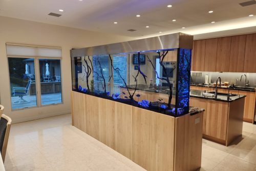 A contemporary custom freshwater aquarium project in a client’s kitchen, by Aqua Creations