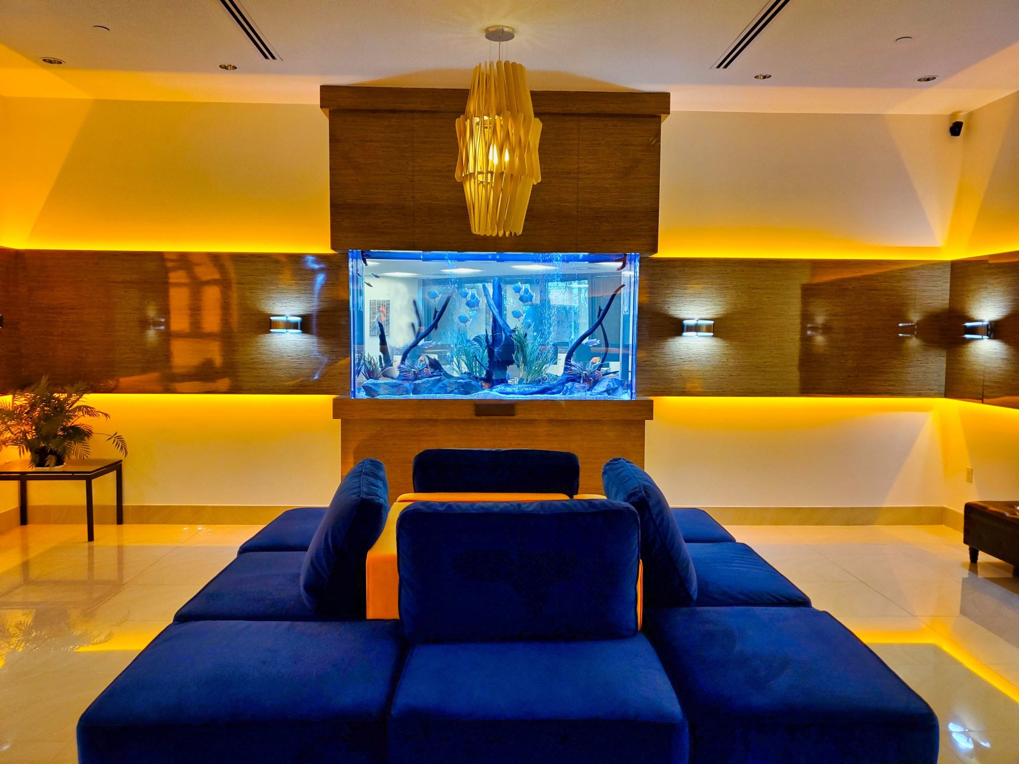 Custom Freshwater Aquariums: Complete Guide | Aqua Creations