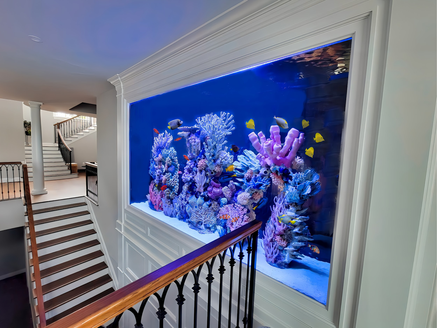 Saltwater Aquariums | Aqua Custom Fish Tanks