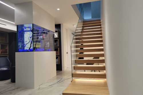 Built in freshwater fish tank in Brooklyn NY