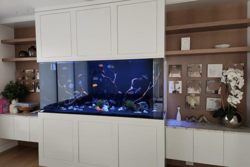 Freshwater Custom Aquarium in beautiful wall unit