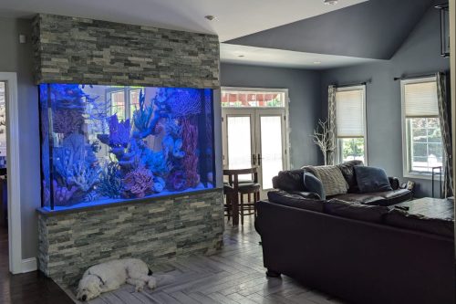 Large saltwater fish tank installed in PA home.