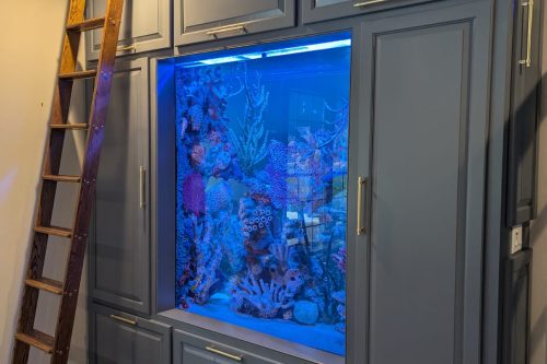Luxury aquarium with built in cabinetry