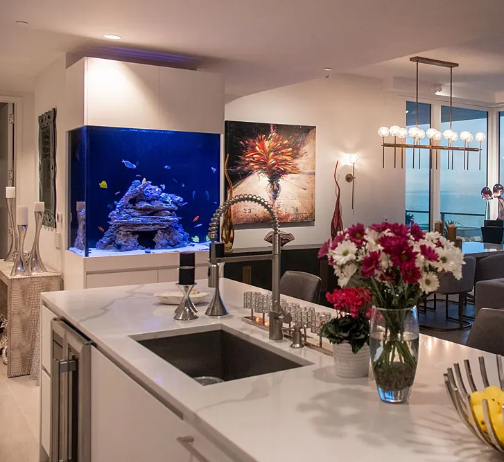 custom aquarium system